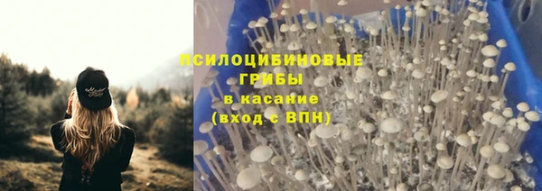 бутират Бородино
