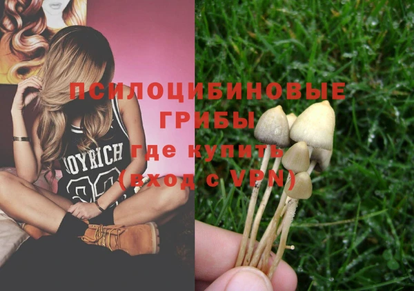 ECSTASY Бронницы
