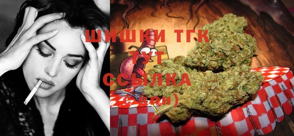 ECSTASY Бронницы