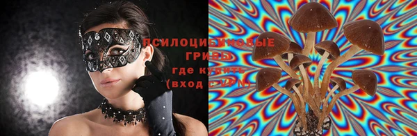 бутират Бородино