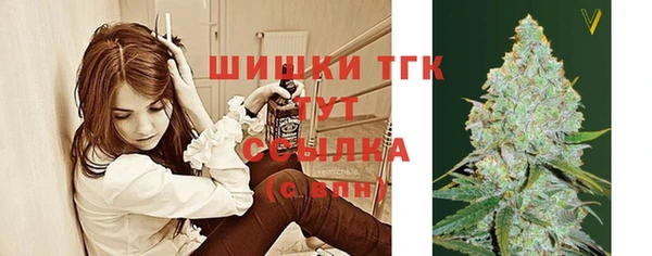 ECSTASY Бронницы
